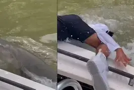 star sports下载-比赛中出现惊险一幕,球迷跌破眼镜视频