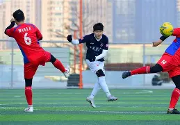 篮球各大联赛都几月份开始